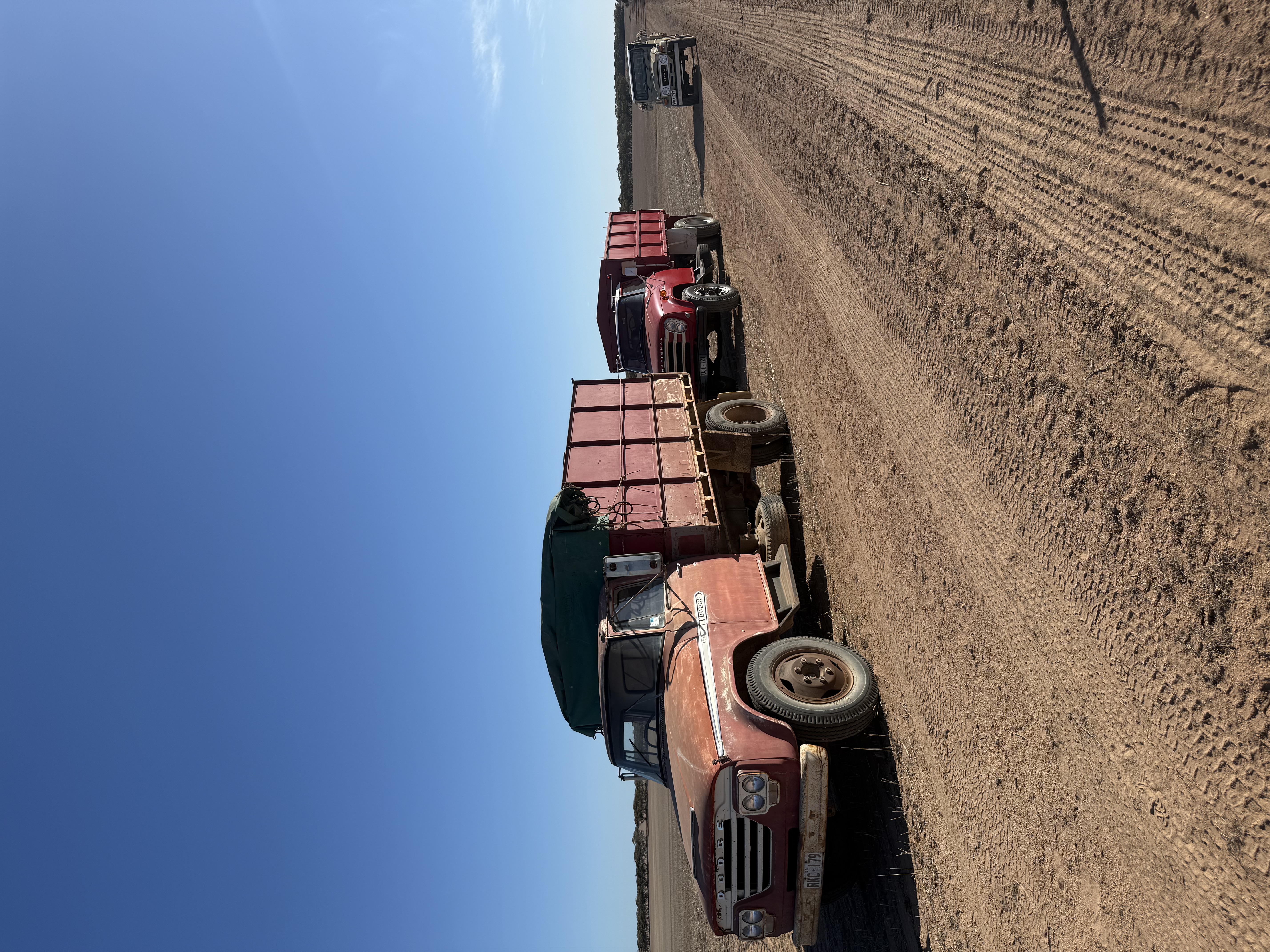 Dodge 1